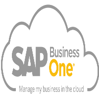 SAP Business One HANA ERP